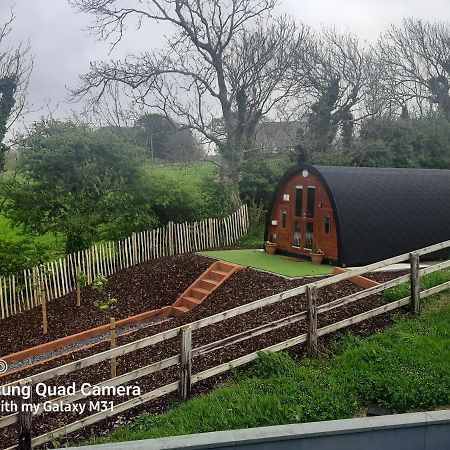 Апартаменти Ivy Hill Glamping Pod Енніс Екстер'єр фото