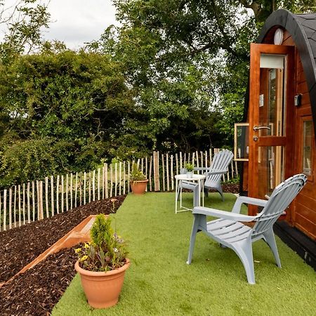 Апартаменти Ivy Hill Glamping Pod Енніс Екстер'єр фото