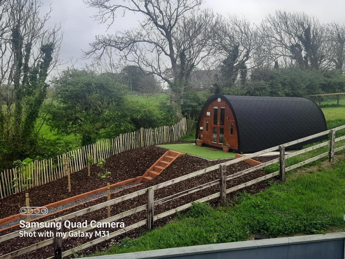 Апартаменти Ivy Hill Glamping Pod Енніс Екстер'єр фото