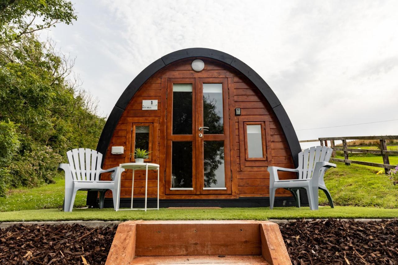 Апартаменти Ivy Hill Glamping Pod Енніс Екстер'єр фото