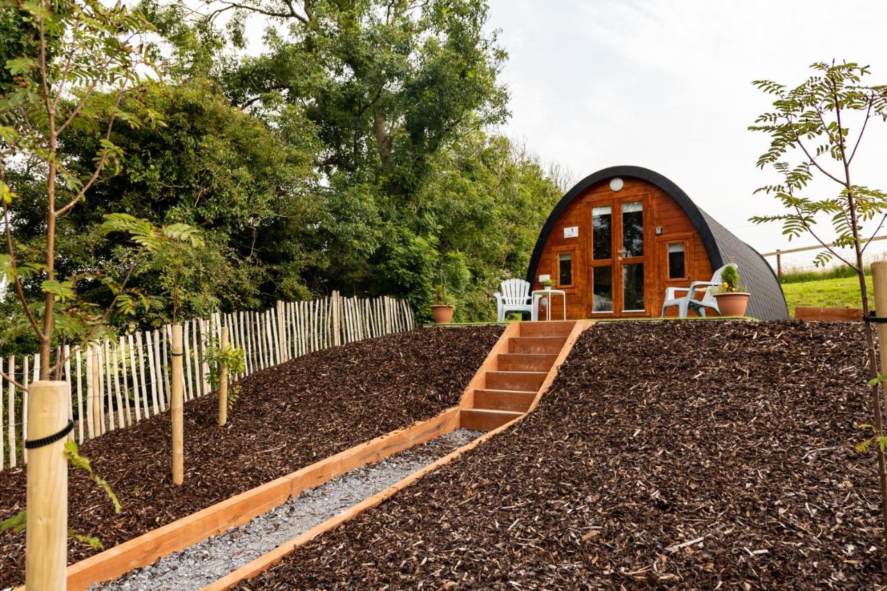 Апартаменти Ivy Hill Glamping Pod Енніс Екстер'єр фото