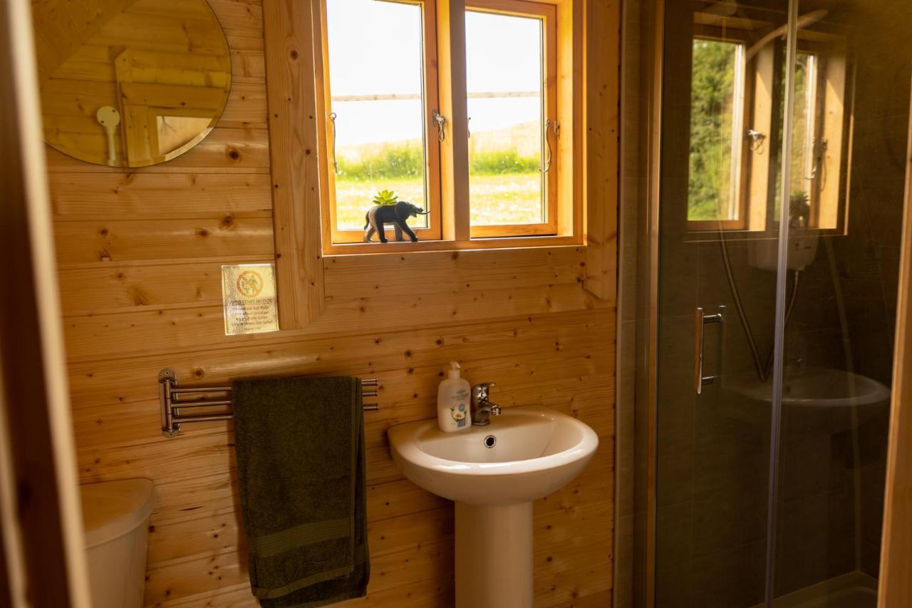 Апартаменти Ivy Hill Glamping Pod Енніс Екстер'єр фото