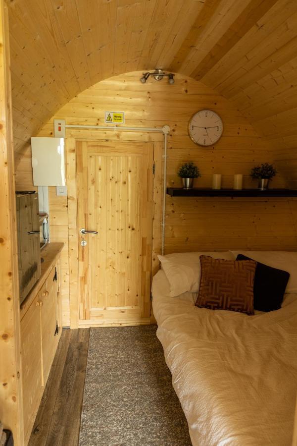 Апартаменти Ivy Hill Glamping Pod Енніс Екстер'єр фото